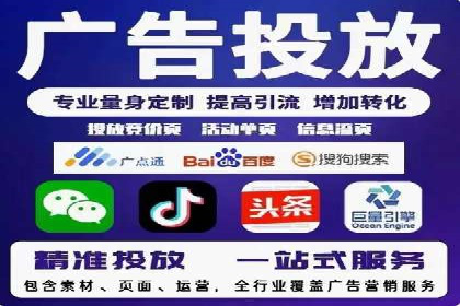 某电商平台的SEM策略与效果展示